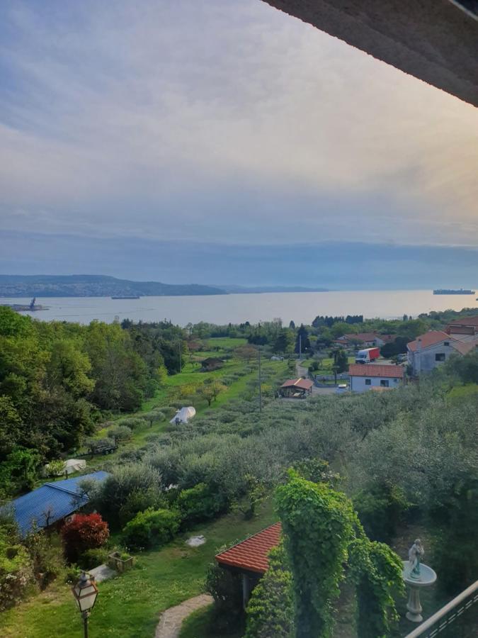Apartma Aleksandra อังคาราน ภายนอก รูปภาพ